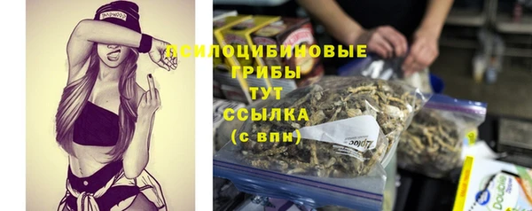 гашик Балабаново