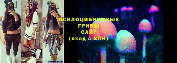бошки Беломорск