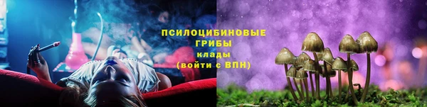 крисы Михайлов