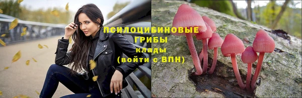 jwh Михайловск