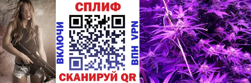 дарк нет клад  Шагонар  Канабис VHQ 
